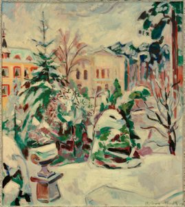 Snødekt park med hus